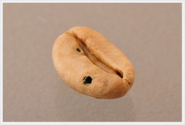虫食い豆