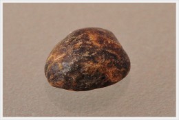 黒豆