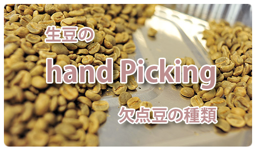 生豆のハンドピッキング欠点豆タイトル