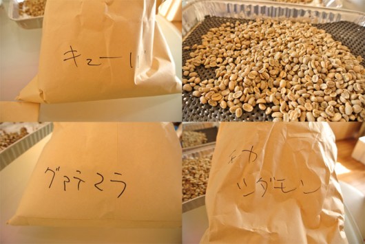珈琲生豆のハンドピッキング