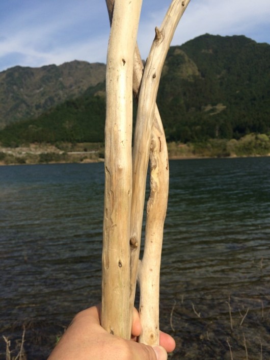 流木