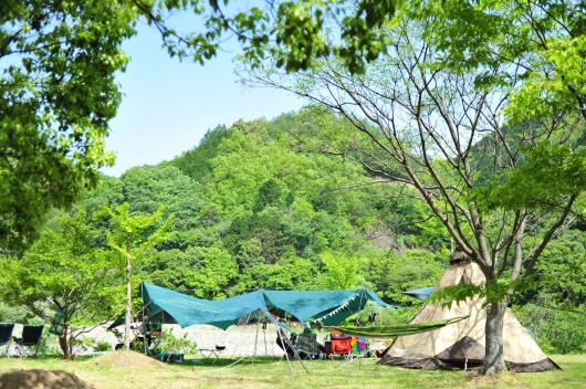 キャンプのお誘い