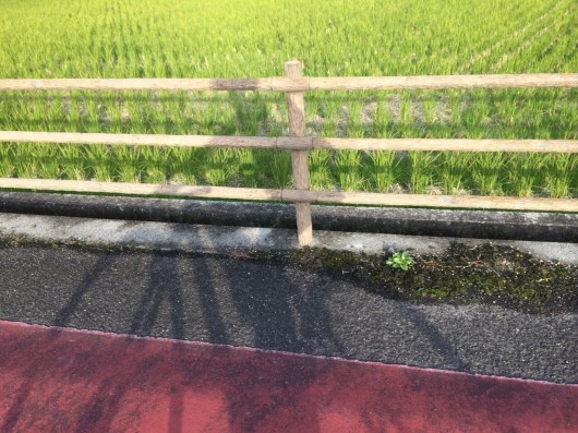 気持ちよくサイクリング