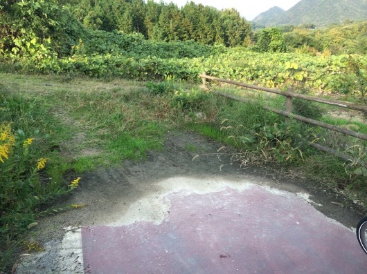 綾川自転車道行き止まり