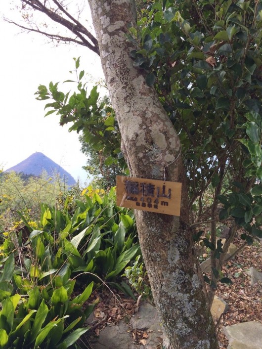 稲積山山頂