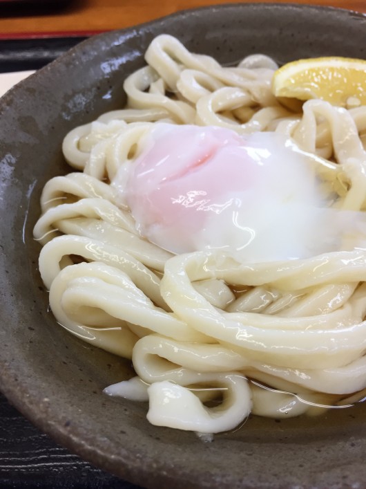 手打ち手切りうどん