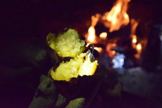 焚き火焼き芋