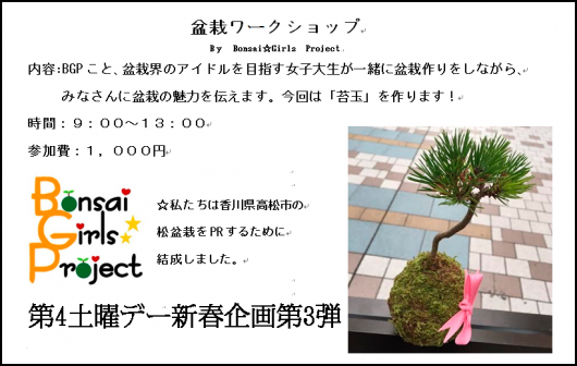 盆栽ワークショップ