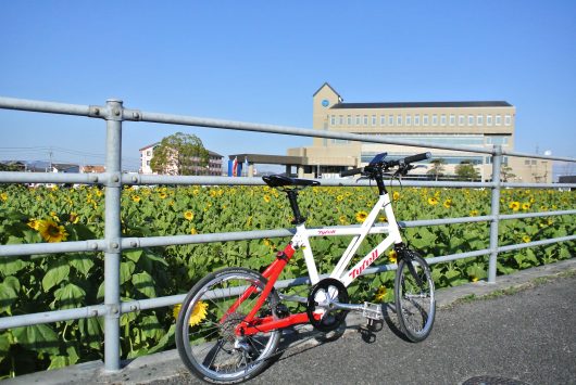 冬のひまわり畑と自転車