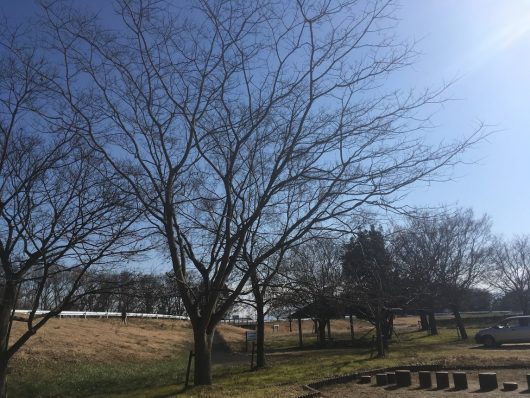 水辺の楽校公園