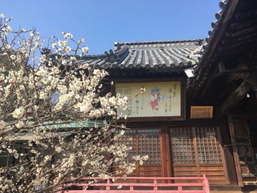 滝宮天満宮の梅