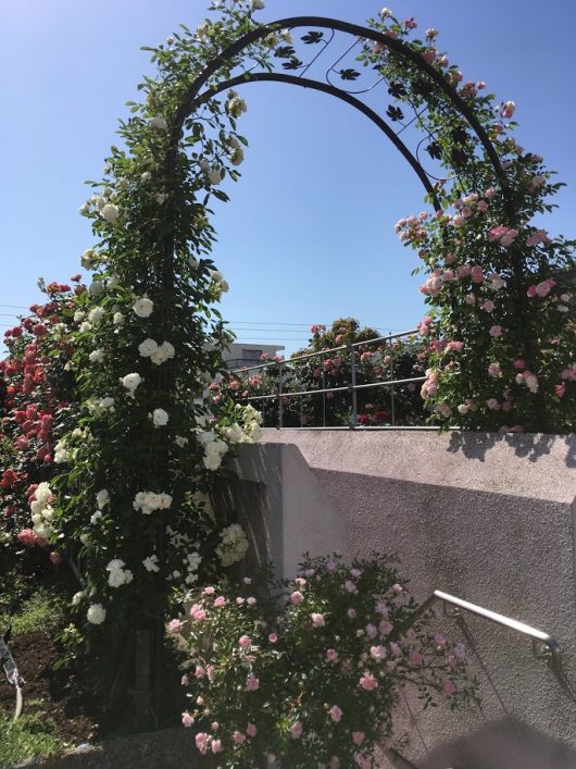 坂出人口土地