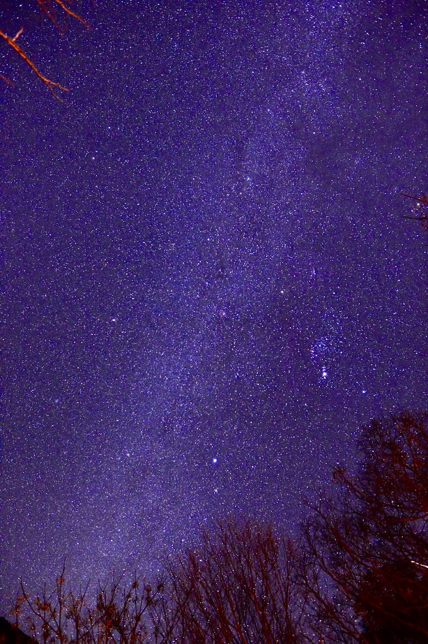 満天の星空
NIKON D4
SIGMA Art 20mm F1.4 DG HSM