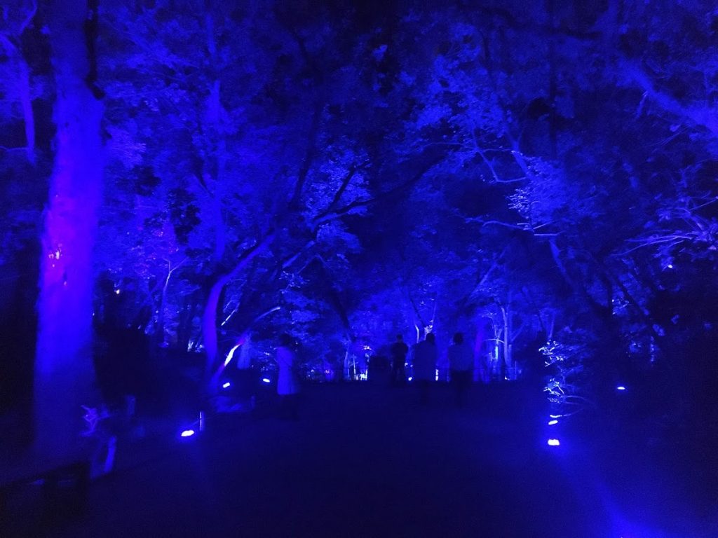 魅惑の入り口