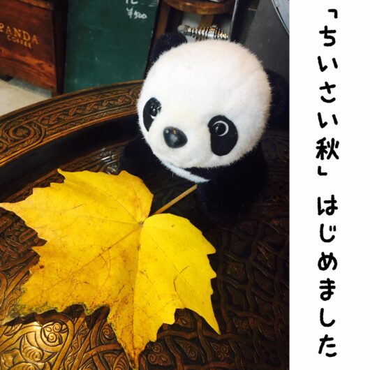 パンダと紅葉した葉の画像